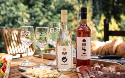 Egy különleges új borászat: a BJB Lago Winery
