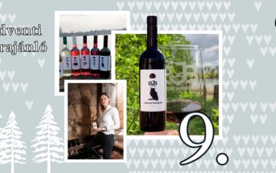 Vincells borajánló: BJB LAGO Winery – Cabernet Sauvignon 2022
